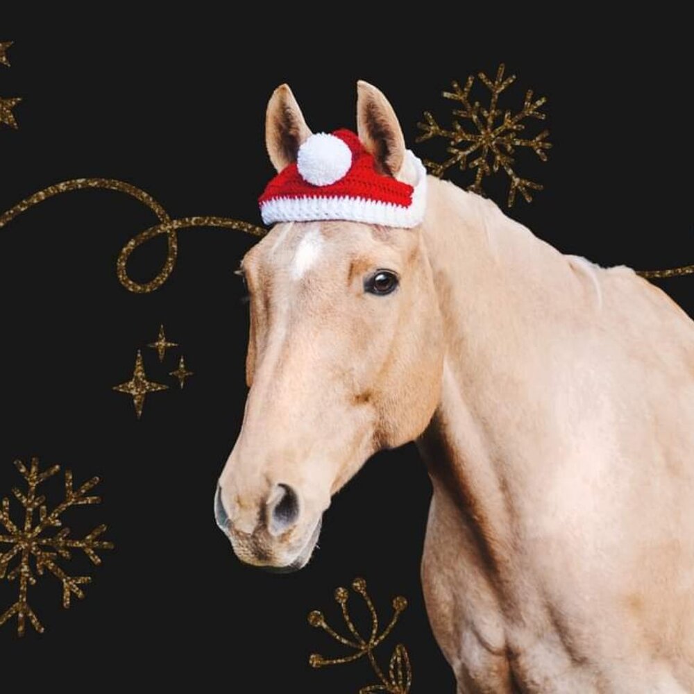 Santa Horse Hat, Bonnet. Red with White fluffy brim Average Horse Size.